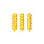 Saalemühle Alsleben GmbH