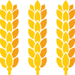 Dresdener Mühle GmbH