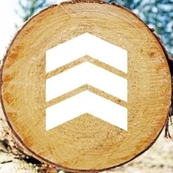 Ilim Nordic Timber GmbH & Co. KG