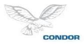 CONDOR Sicherungs- und Service GmbH, Süd-West